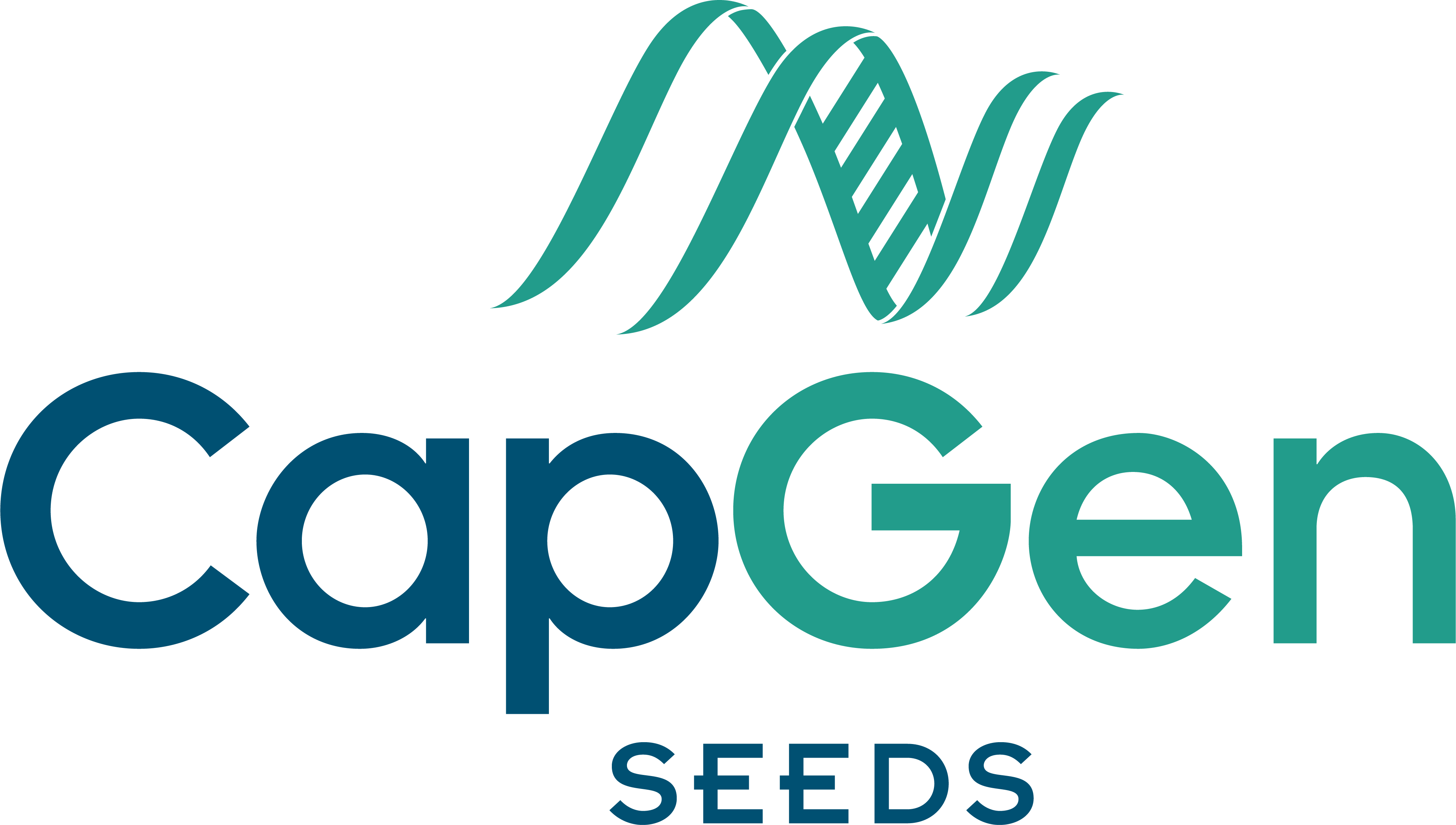 LogoCapGen