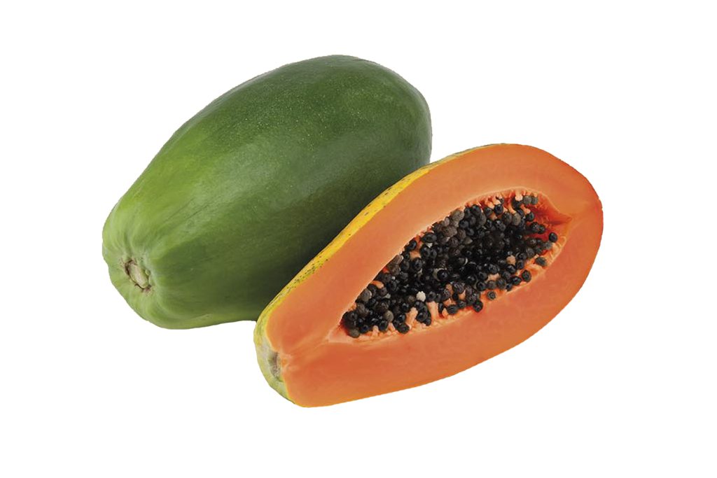 CaballeroWeb CapGen Seeds