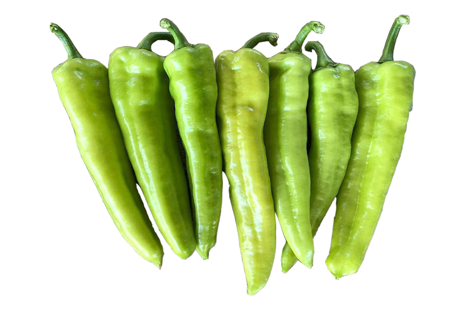 ColosoWeb2 CapGen Seeds