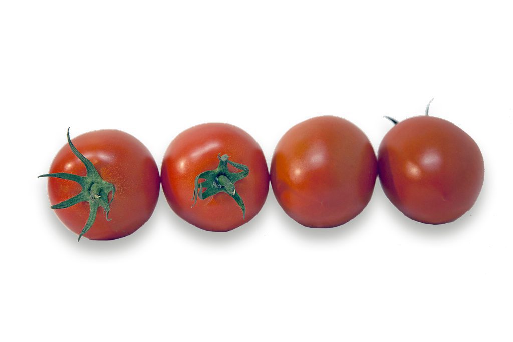 Gandellino CapGen Seeds GandellinoWeb