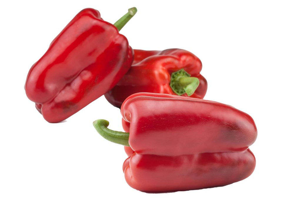 IberoWeb CapGen Seeds