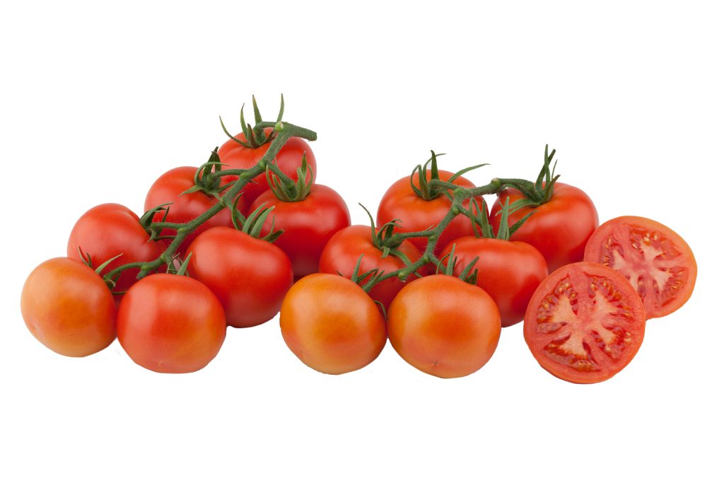 Loose Tomato > Selina | CapGen Seeds