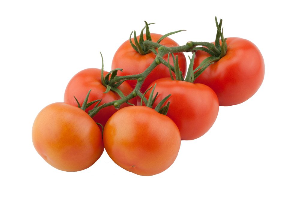 Selina CapGen Seeds Kasillas3Web