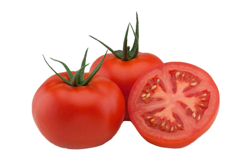 らちゅPuntoVenezia dalle radici ad oggi Sementi di Pomodoro | CapGen Seeds