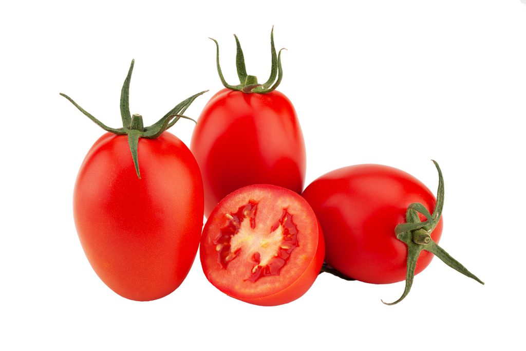 ObelixWeb 1 CapGen Seeds