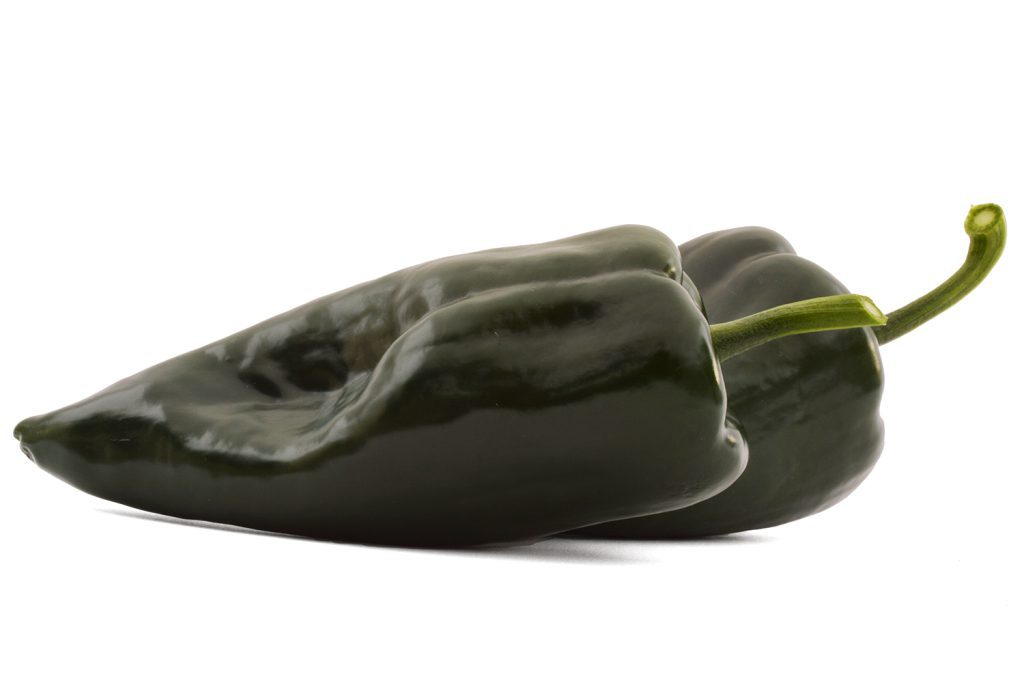 Oro CapGen Seeds OroWeb