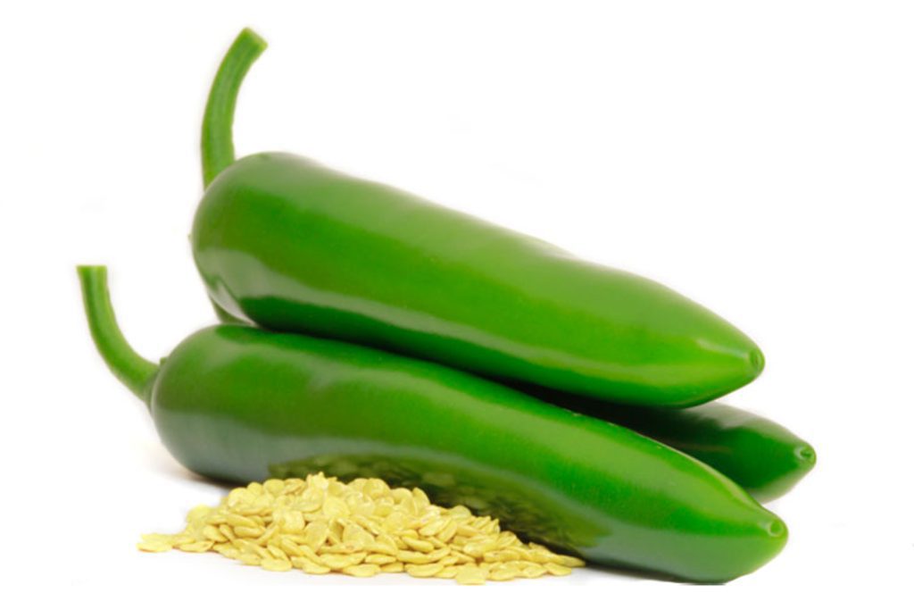 PimientoPicante CapGen Seeds