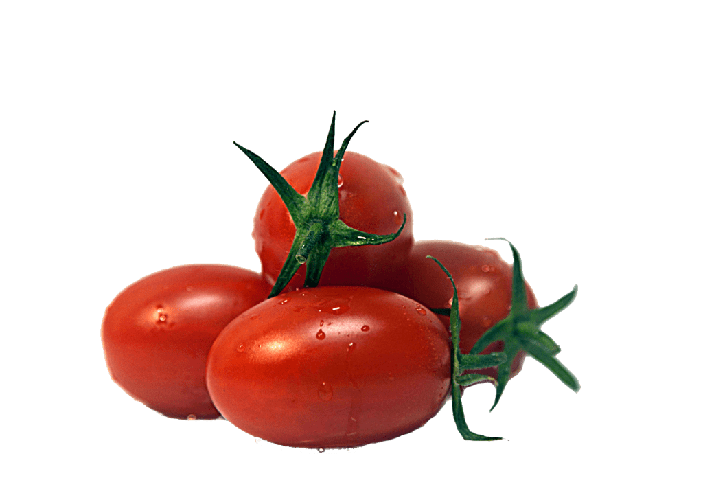 Talio CapGen Seeds TomateTalio