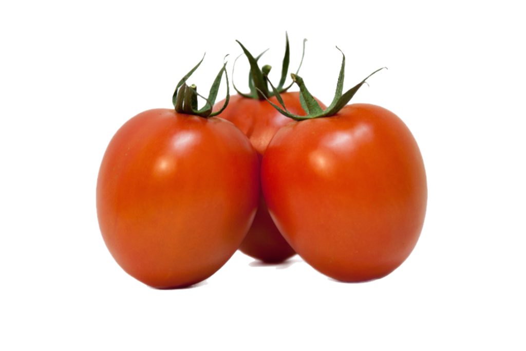 Vibranio CapGen Seeds VibranioWeb