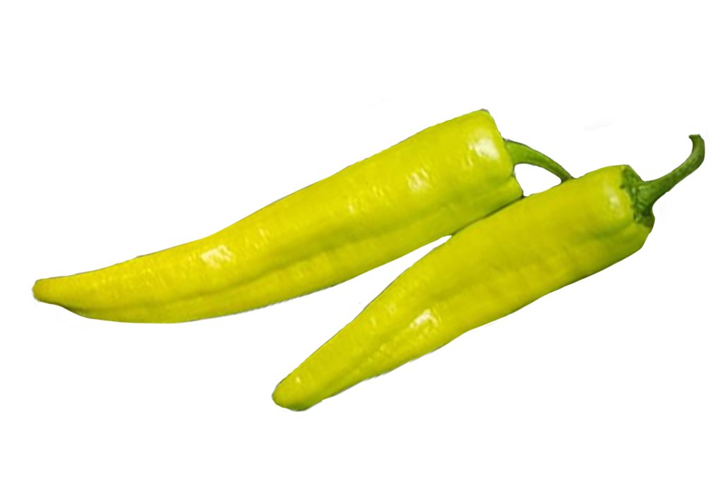 Xenón CapGen Seeds XenonWeb