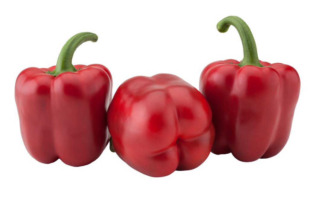 CGP1601 CapGen Seeds cgp1601_web