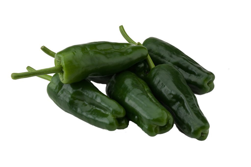 dorna pimiento de padron