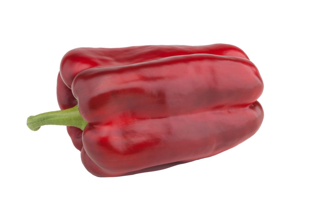 Découvrez les nouvelles variétés de poivre Lamuyo de CapGen Seeds : Diestro et Estoque CapGen Seeds lamuyo estoque