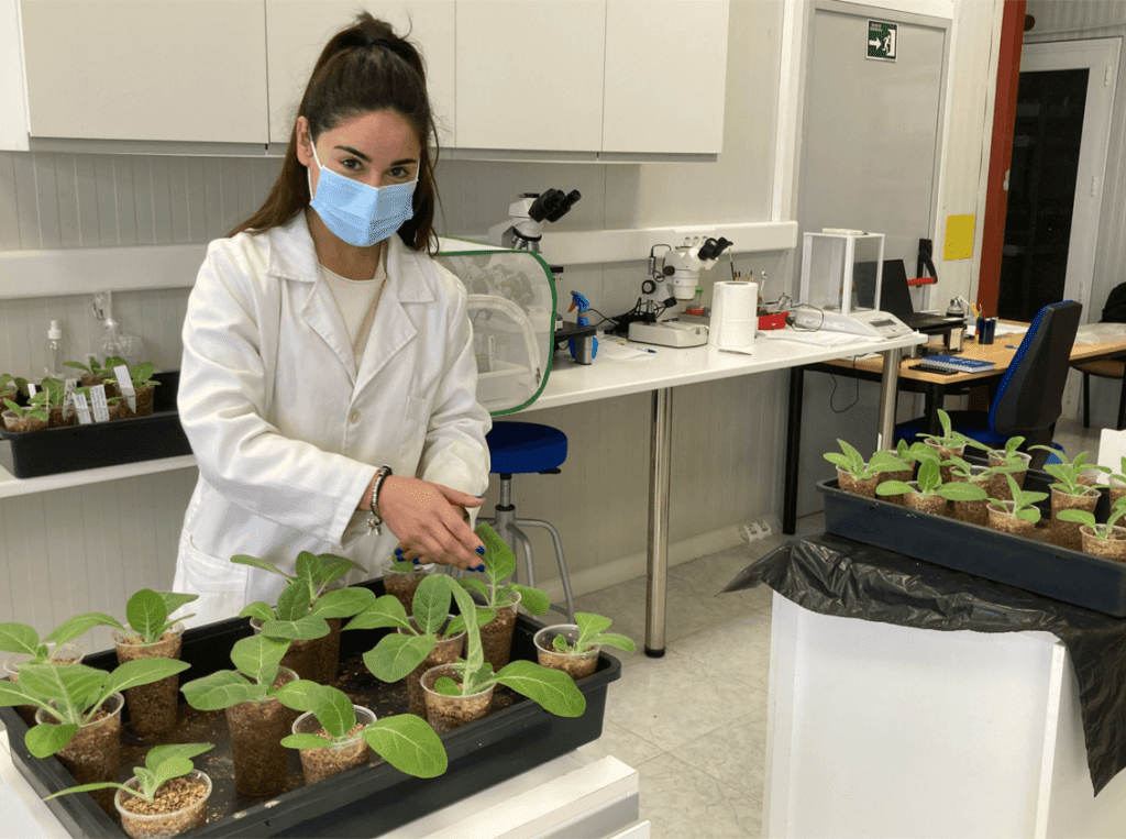 investigation CapGen Seeds