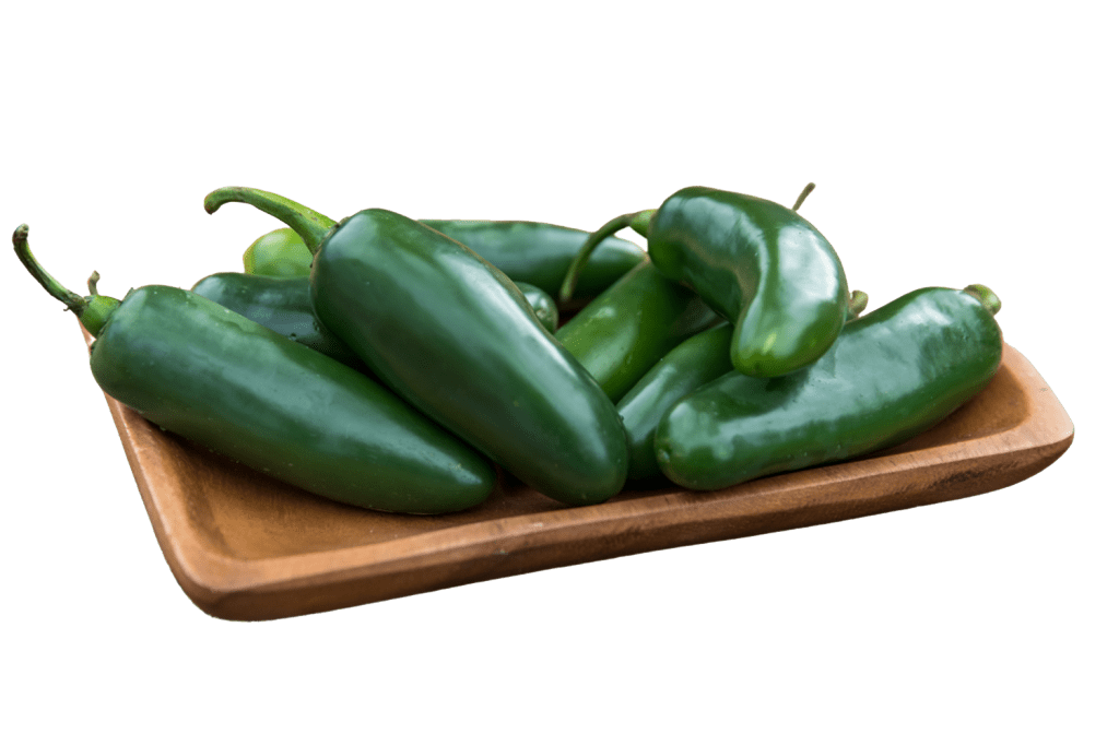 Jalapeno 502 CapGen Seeds Jalapeno 502