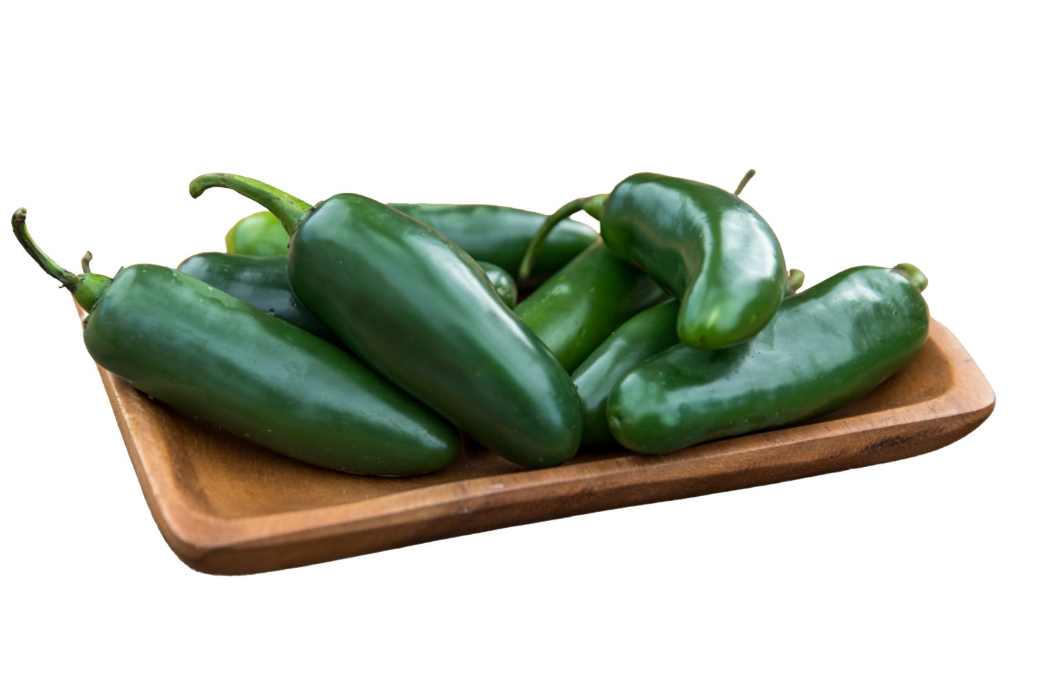 Jalapeño > Jalapeno 502 CapGen Seeds Capital