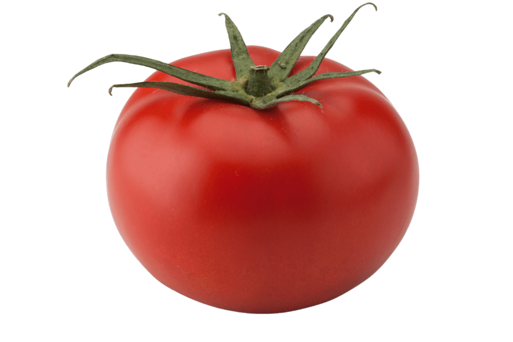 Ourika tomate