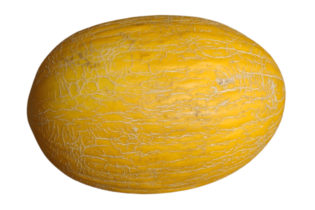 melon Rafik
