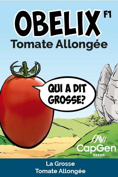 Banner-obelix-allongee-fr