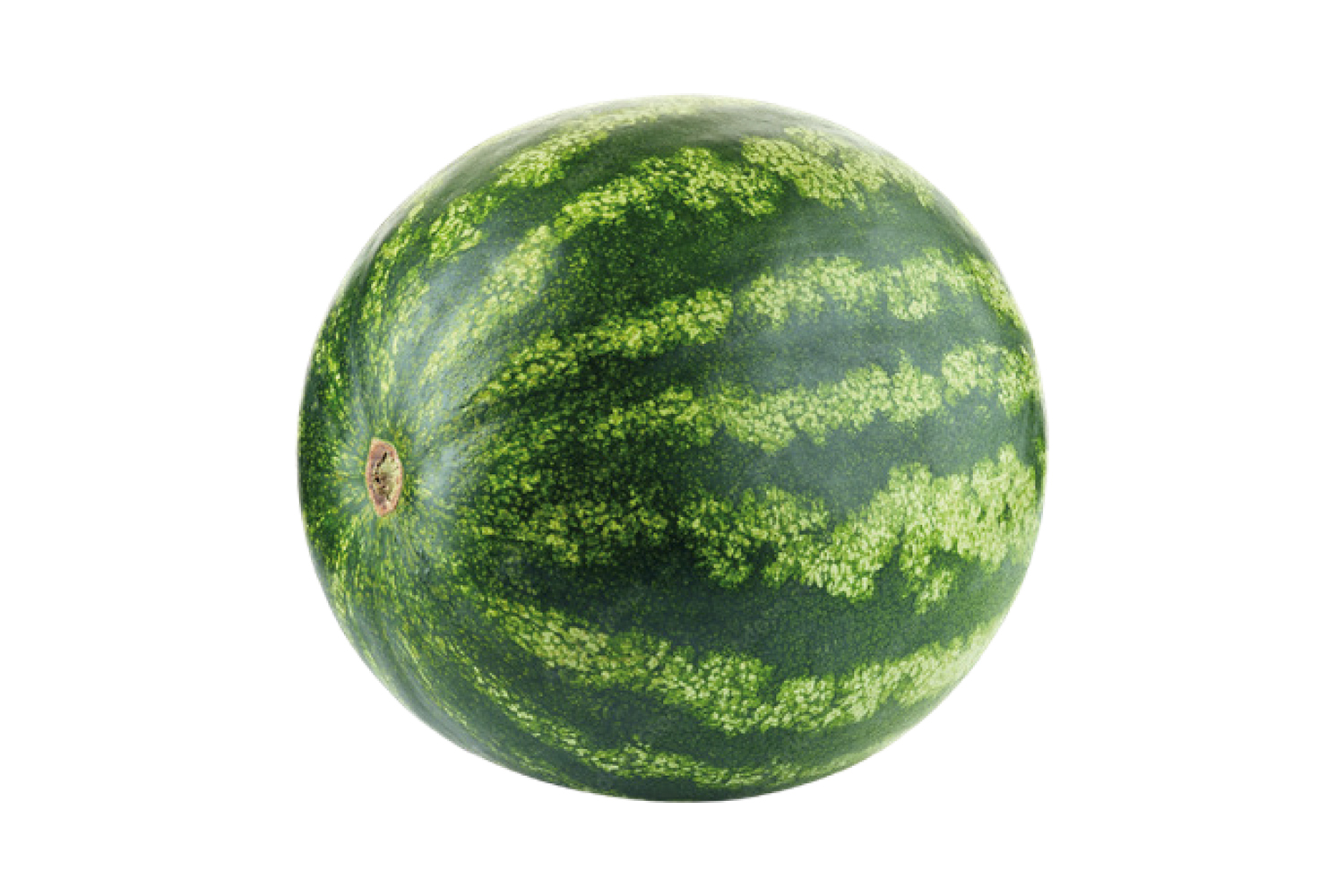 SandiaCGW1095 CapGen Seeds