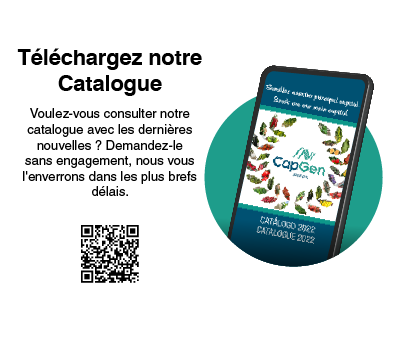 banner-catalogo-fr