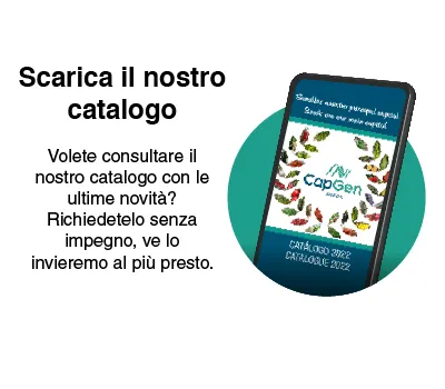 catalogo-it