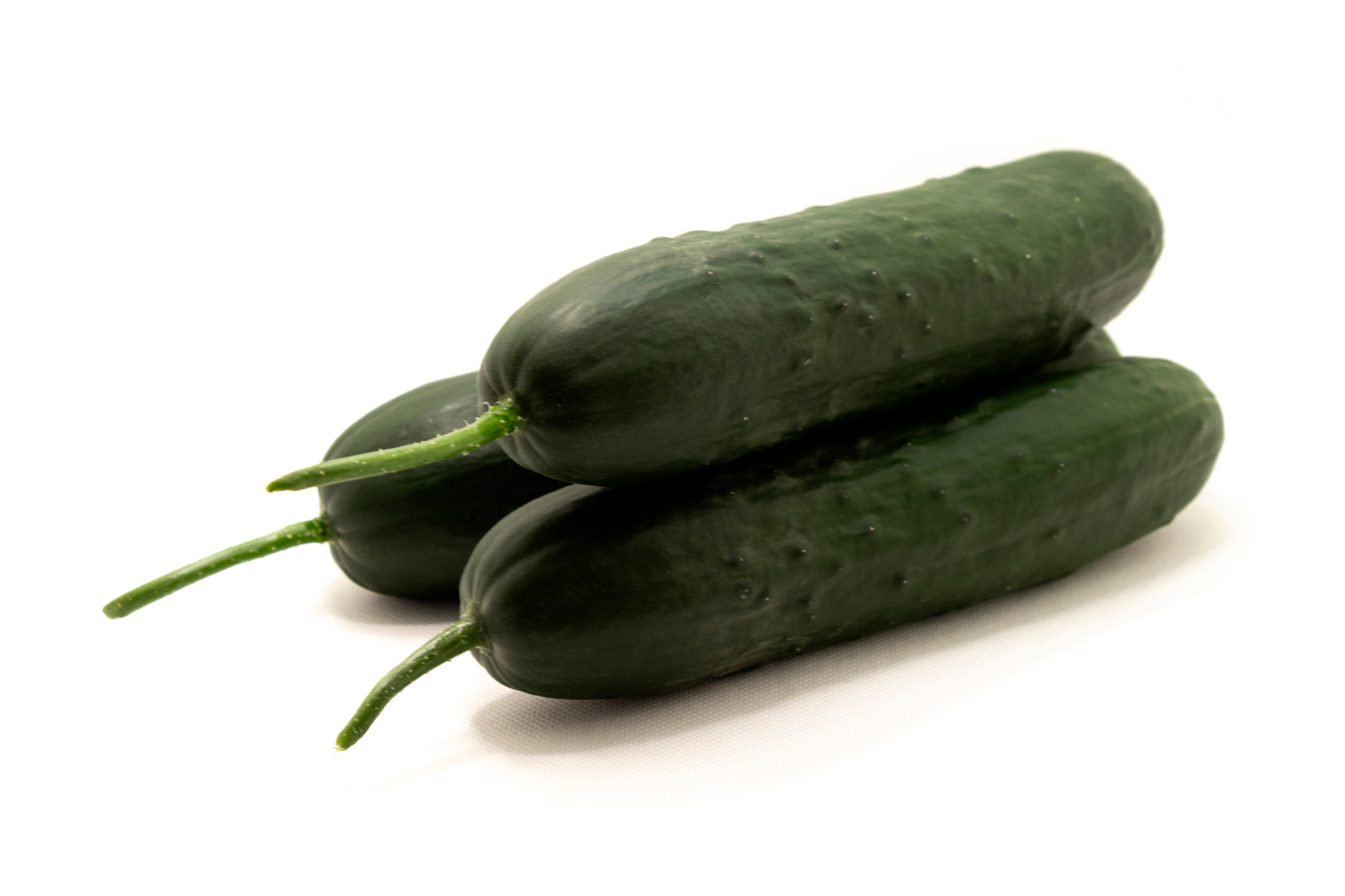 Seeds of Cucumber | CapGen Seeds
