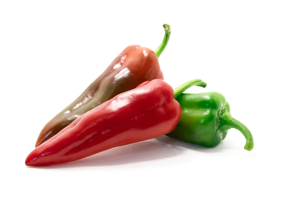 Letha CapGen Seeds Letha kappya -CapGen Seeds