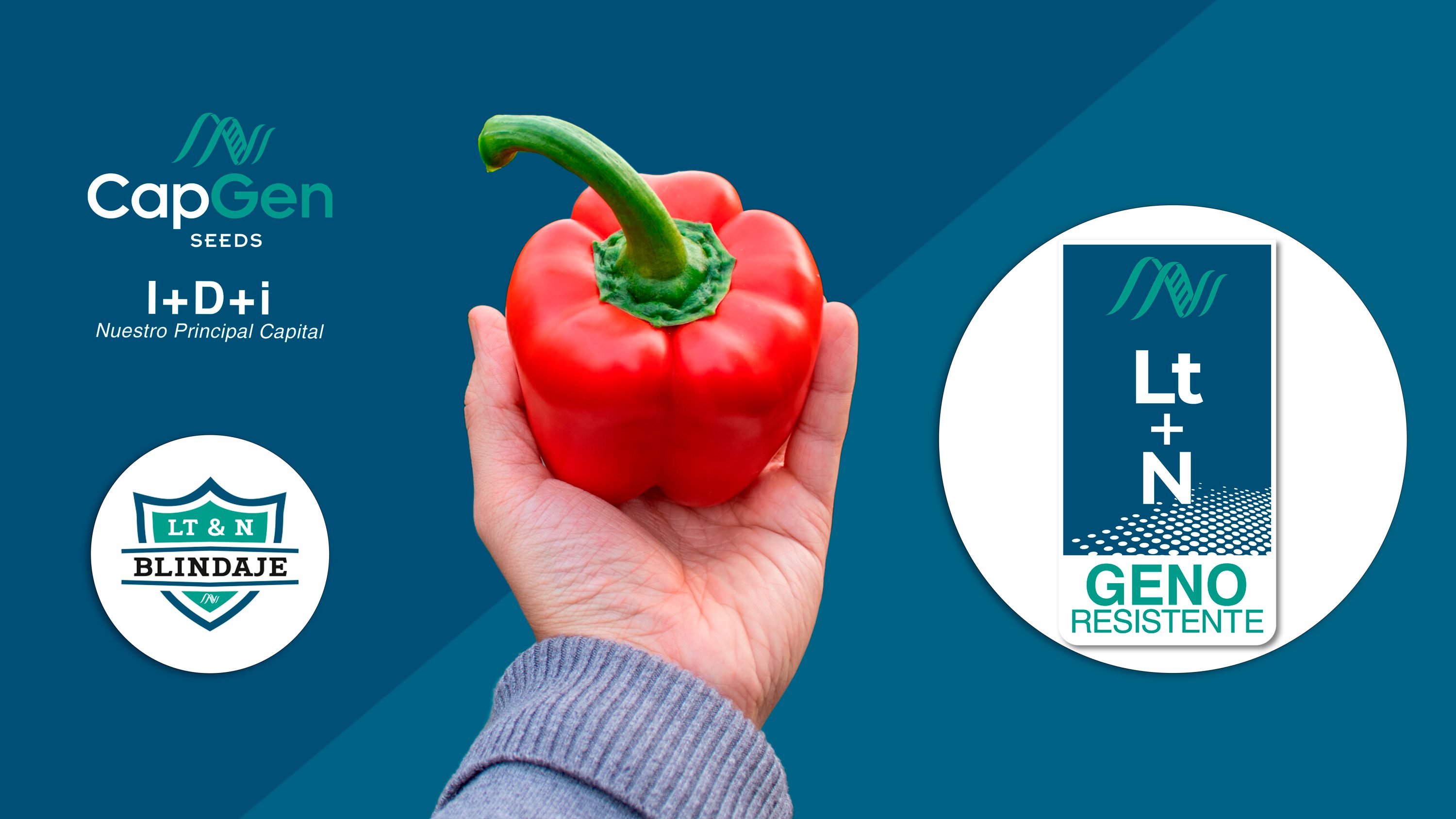 Actualités CapGen Seeds Genoresistente CapGen Seeds