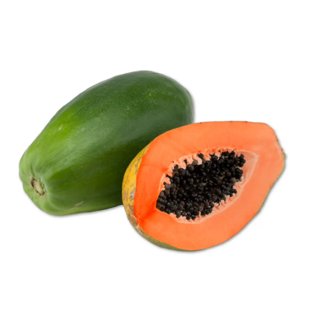 CapGen Seeds boosts the sale of papaya seeds by 20% CapGen Seeds PapayaAlicia CapGen Seeds