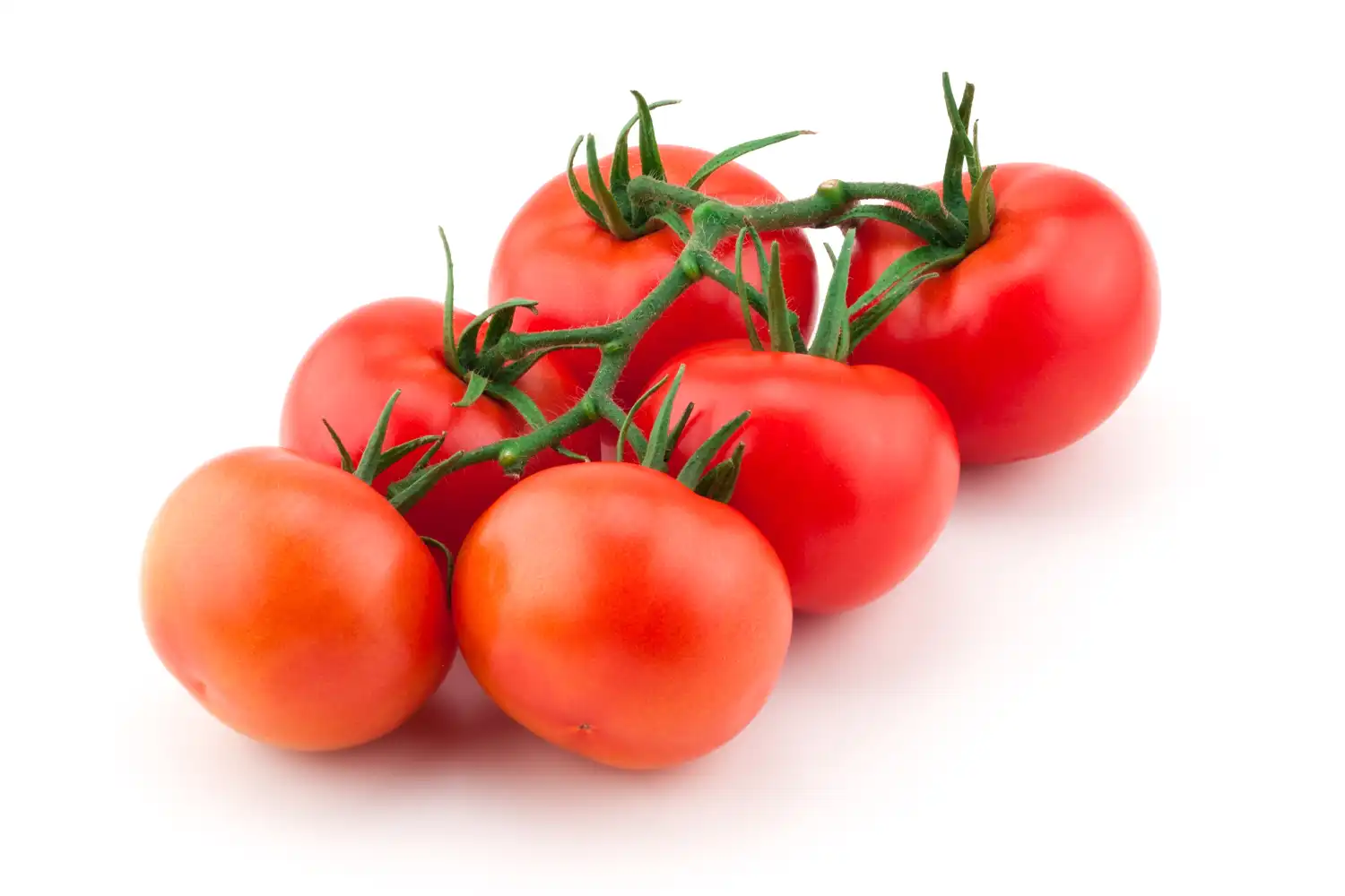 Costello Fruit CapGen Seeds