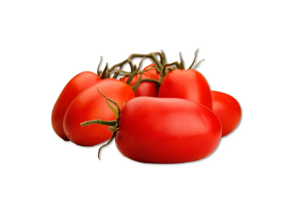 Sanson CapGen Seeds SansonEstudioCapGenSeeds