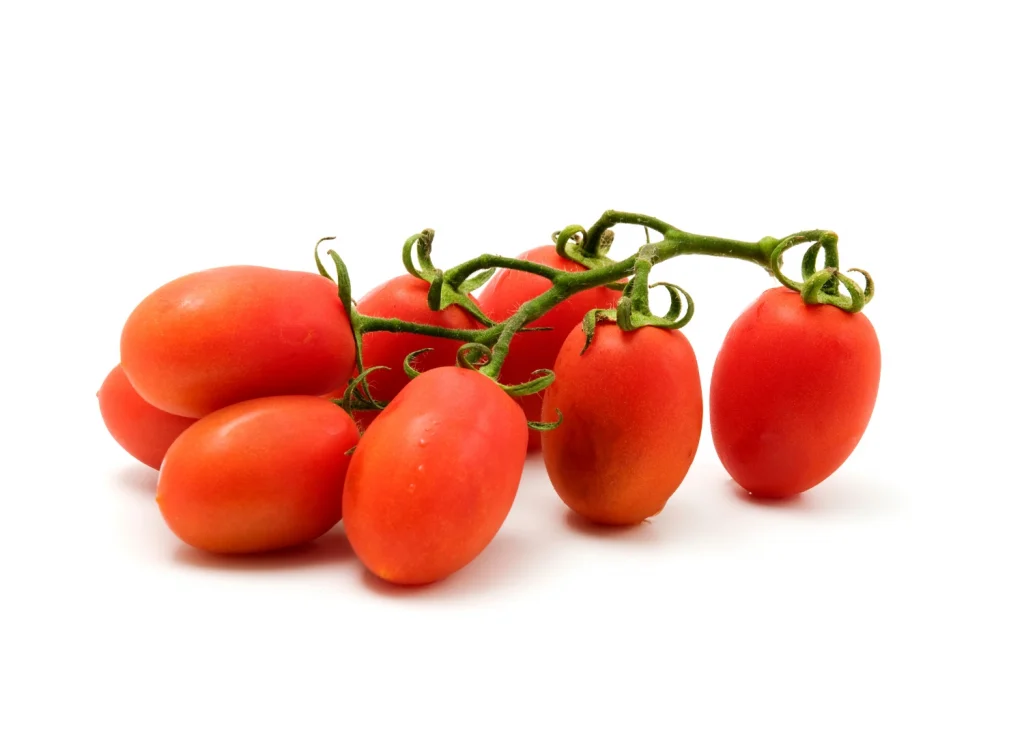 Tawnza CapGen Seeds TwanzaEstudio