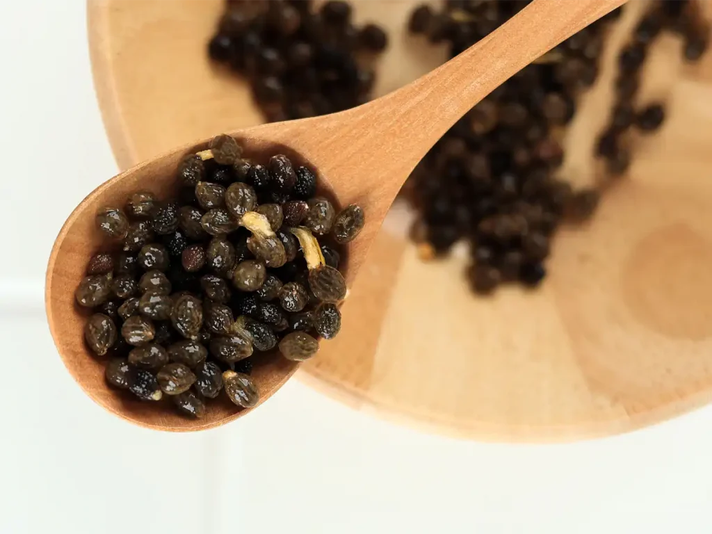 The importance of Seed Banks for the conservation of biodiversity and the advancement of the seed ancillary industry CapGen Seeds seeds