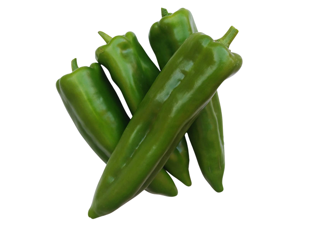 AlBaraka-1024x737-copia