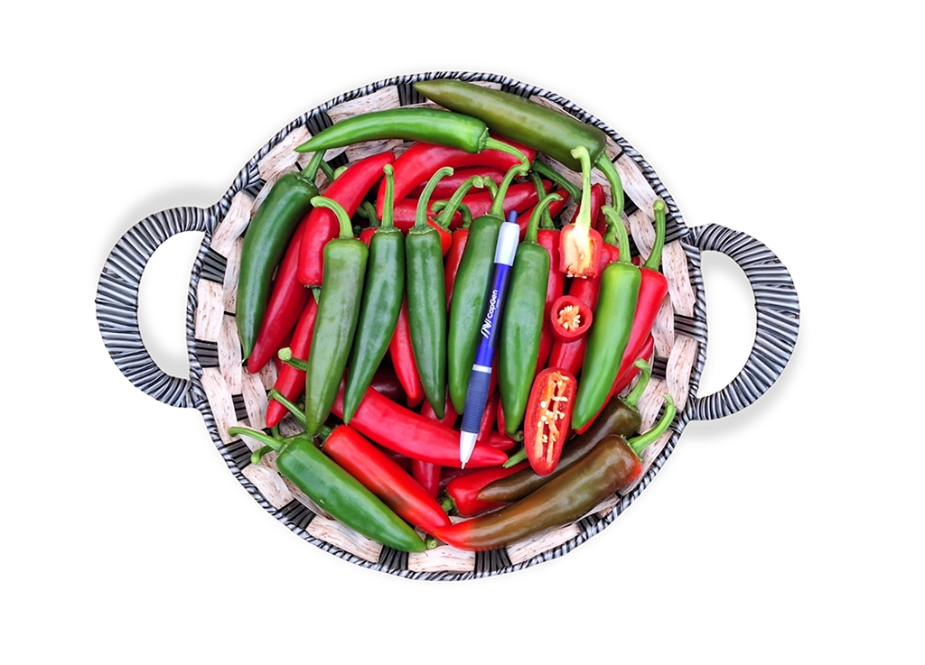 Bravo CapGen Seeds Bravo-Fruto-1024x737 copia