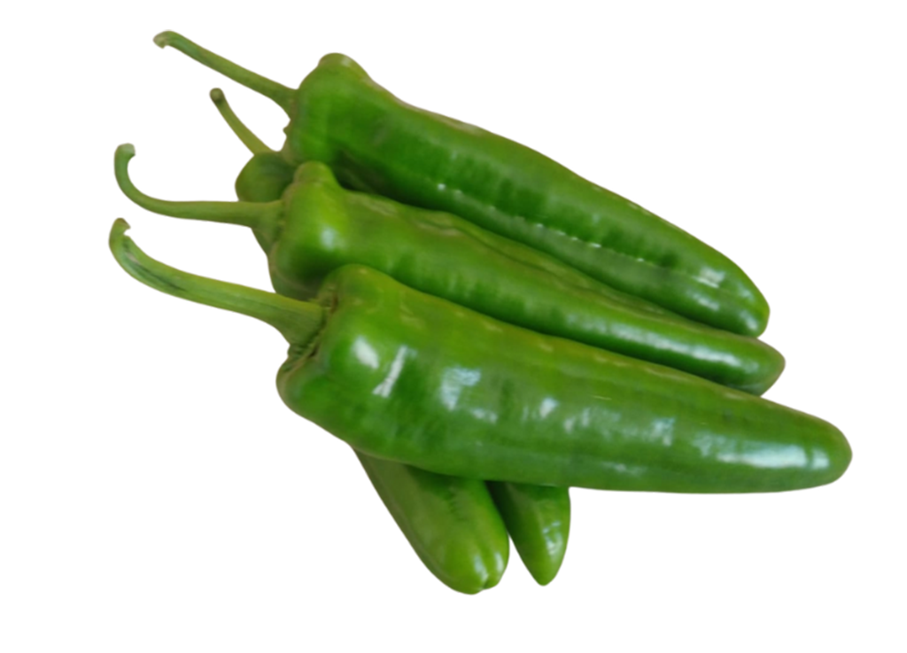 ColinaFruto-1024x737-copia