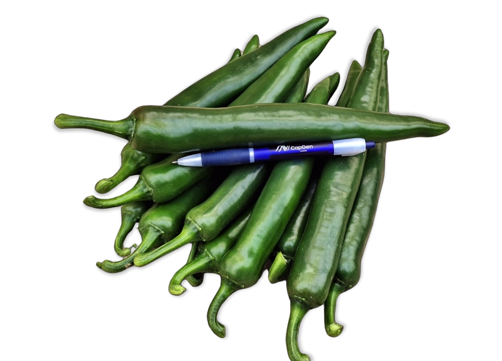Leader CapGen Seeds Leader-Fruto-1024x737 copia