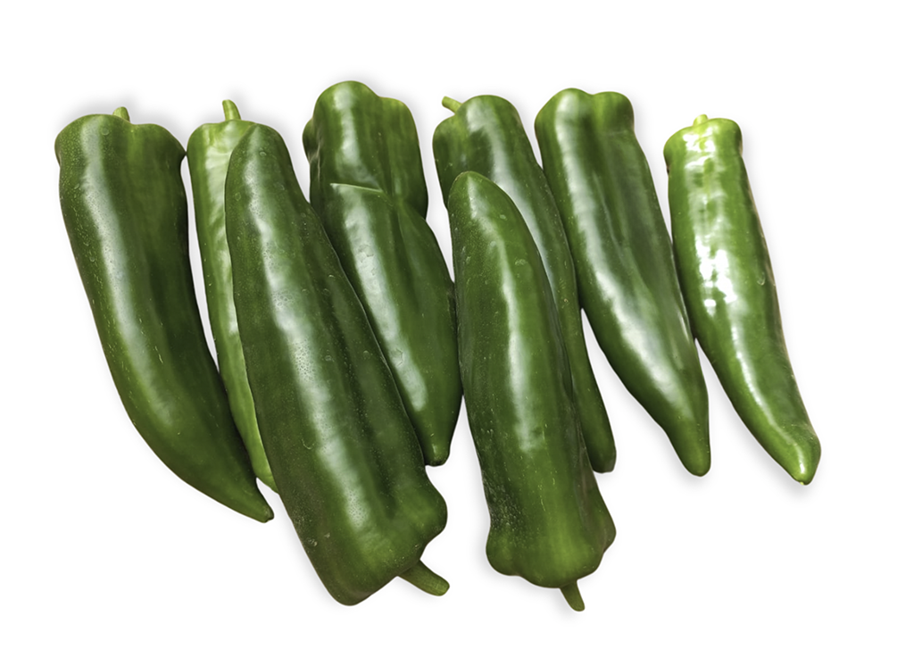 Regragui CapGen Seeds RegraguiFruto-1024x737-copia