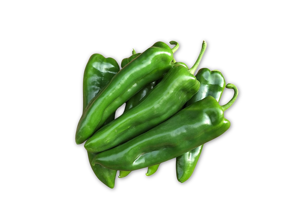 Taoufik CapGen Seeds TaoufikFruto-1024x737 copia