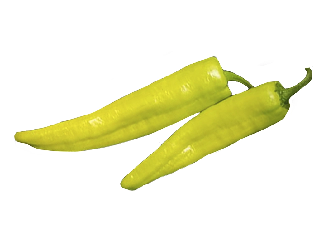 Xenon-Fruto-1024x737 copia