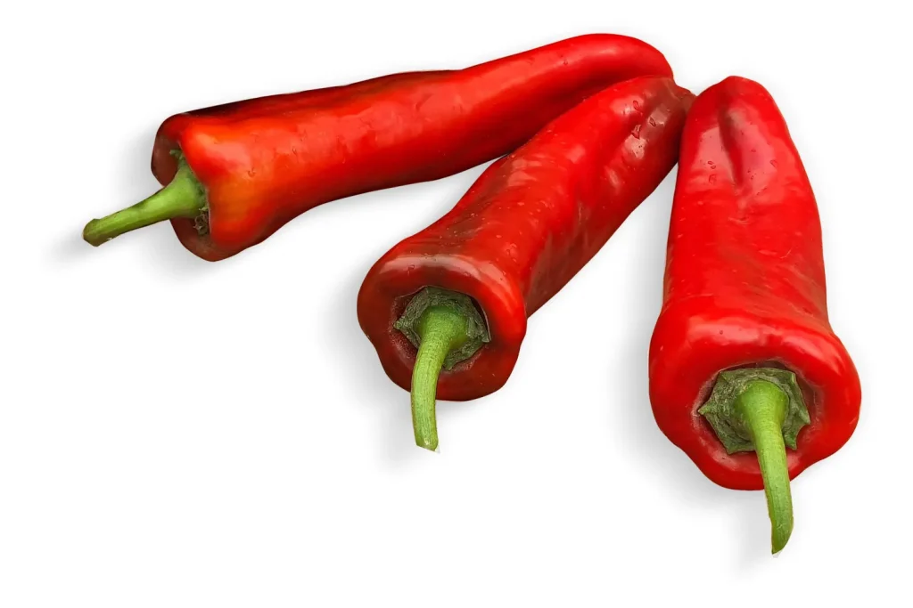 Bronco CapGen Seeds Bronco - Fruit