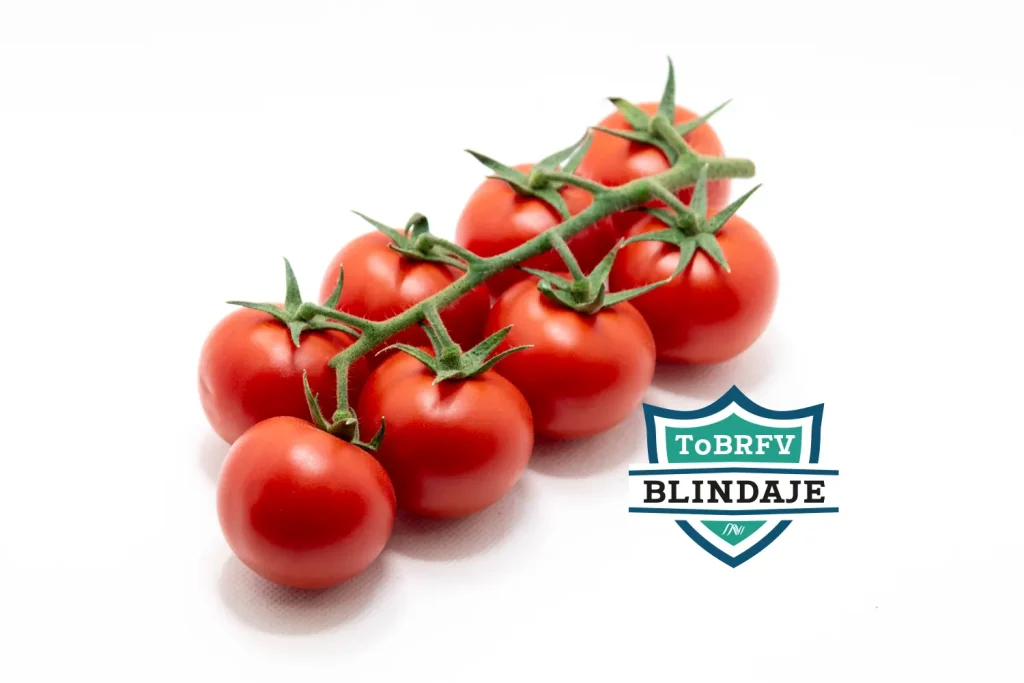 CGT3582 - Blindaje ToBRFV