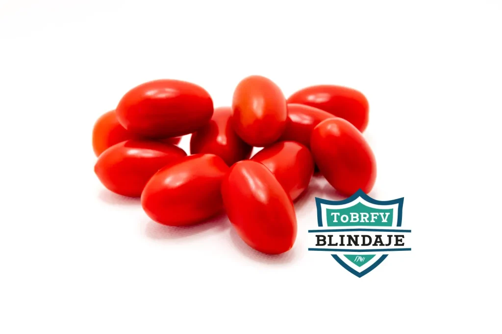 Gavilan CapGen Seeds Gavilan - Fruit - Blindaje ToBRFV