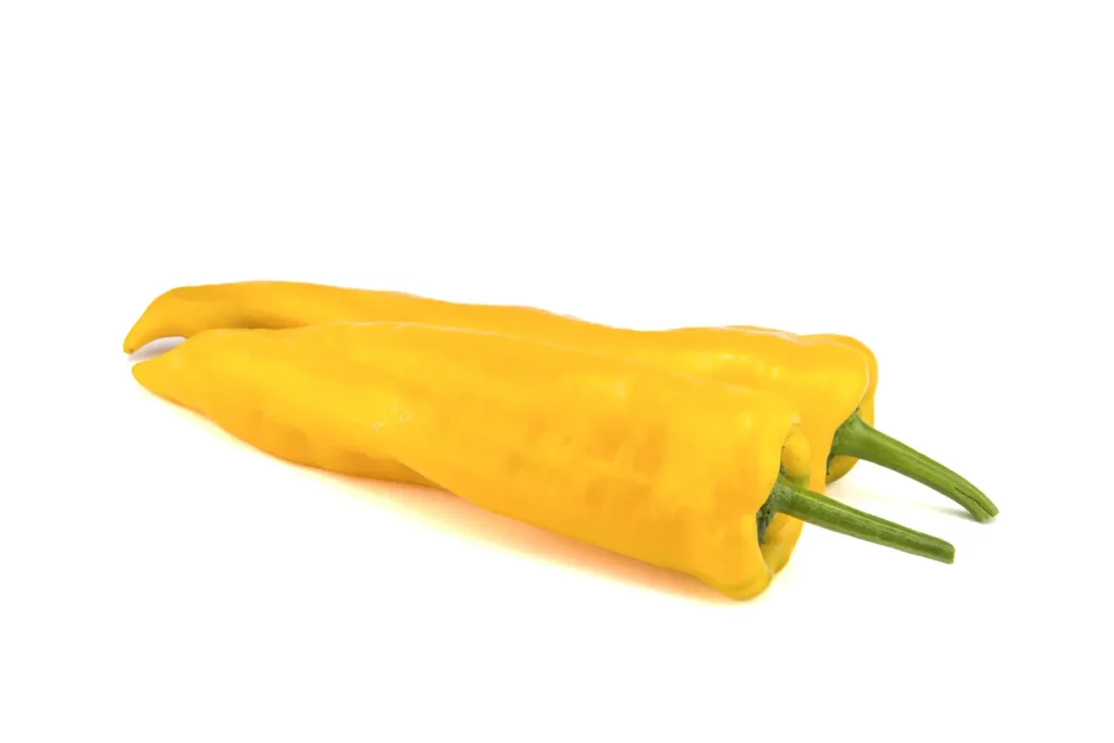 Nebras CapGen Seeds Nebras