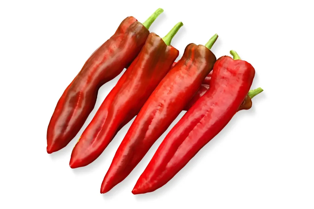 Shalaal CapGen Seeds Shalaal