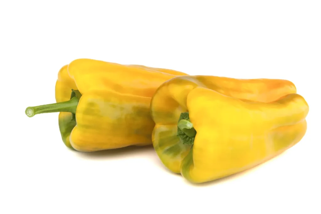 Luthier Pimiento Lamuyo