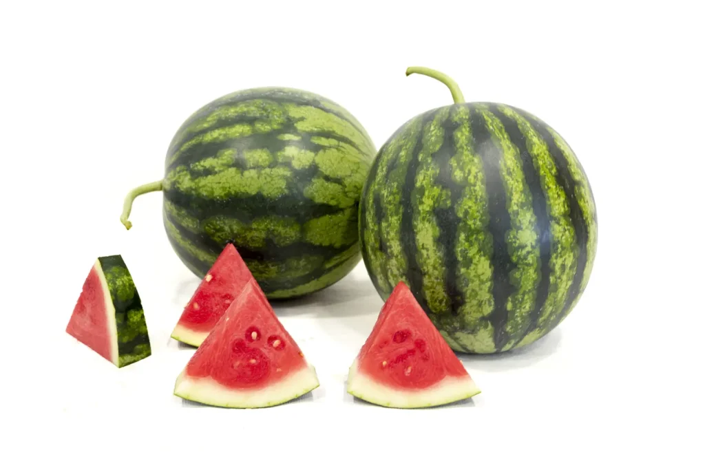 CGW1095 CapGen Seeds CGW1095