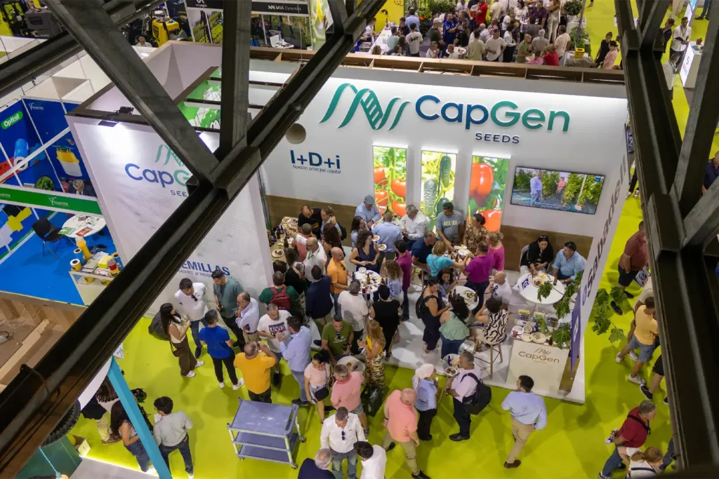 Tomato resistant to ToBRFV and California pepper varieties by CapGen Seeds