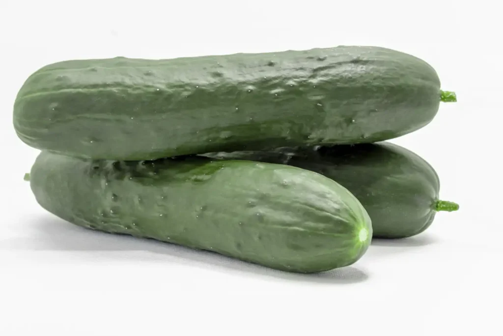 Donemilio CapGen Seeds Frutos de pepino Donemilio F1 tipo slicer de 18 a 20 cm